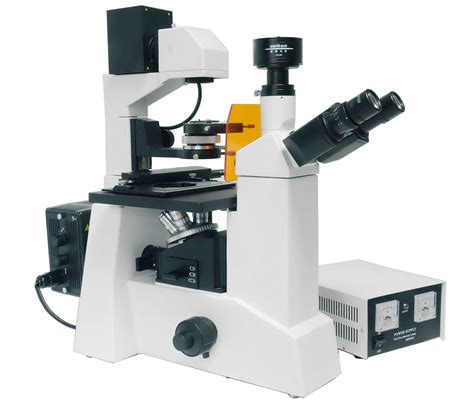 倒置荧光显微镜dfm 60c 上海蔡康光学仪器有限公司