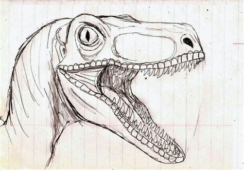 Jurassic Park Raptor by TrefRex.deviantart.com on @deviantART Animal Sketches, Animal Drawings ...