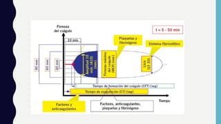 Tromboelastograma B Sico Terapia Intensiva Ppt