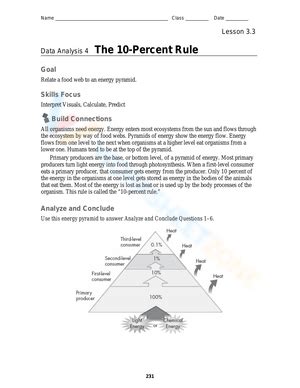 Energy Pyramid Worksheets