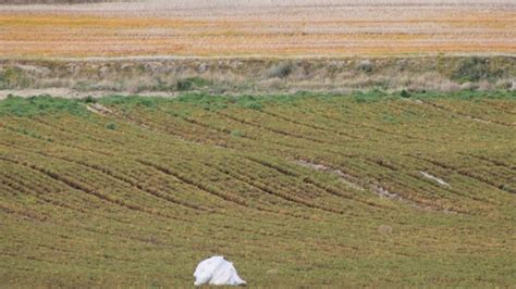 UCCL reitera su petición de convocatoria de ayudas agroambientales y