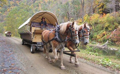 Enjoy the Autumn in the Pennsylvania Grand Canyon