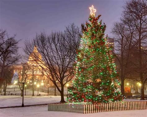 Boston Common Christmas Tree Lighting 2024 - Cammy Caressa