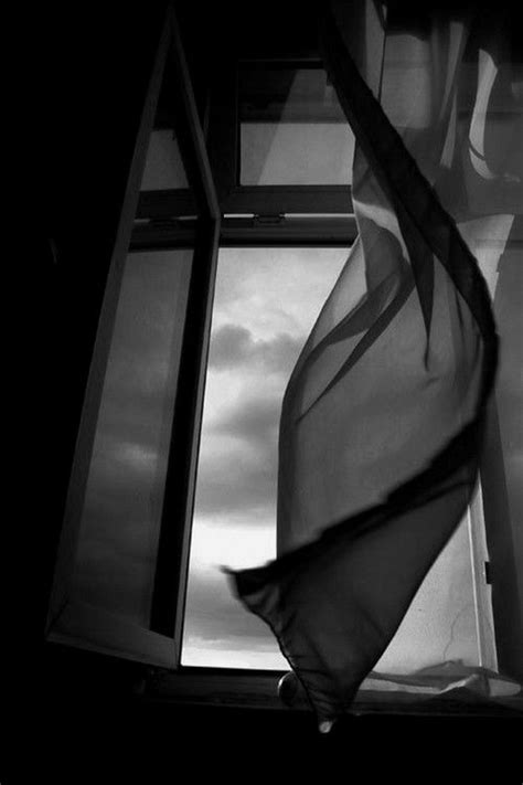 Curtain Blowing In The Wind Blowin In The Wind Through The Window