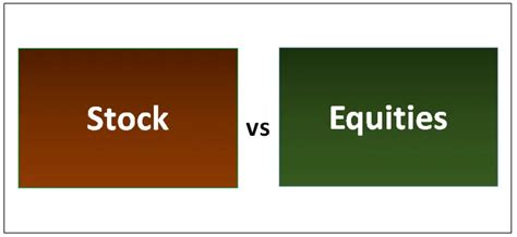 Understanding The Nuances Equity Vs Stock Explained