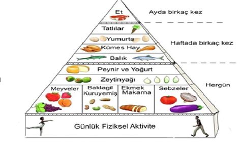 Akdeniz Diyeti Nedir Akdeniz Diyeti Nas L Yap L R G Ven Hastanesi