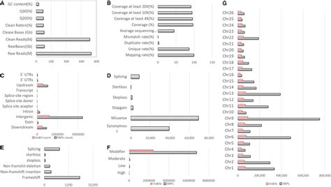 Of Sequencing Data And Identified Variants A Summary Of Whole Genome