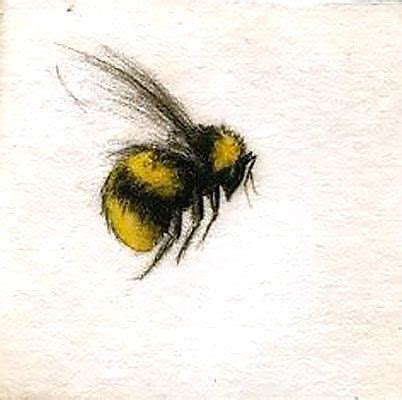 Cute Flying Bumble Bee Tattoo Design Lovely Bumble Bee Drawing Tattoo