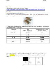 Sex Linked Traits And Pedigree Charts Docx Name Period Part 1 Watch My Favorite Sisters In