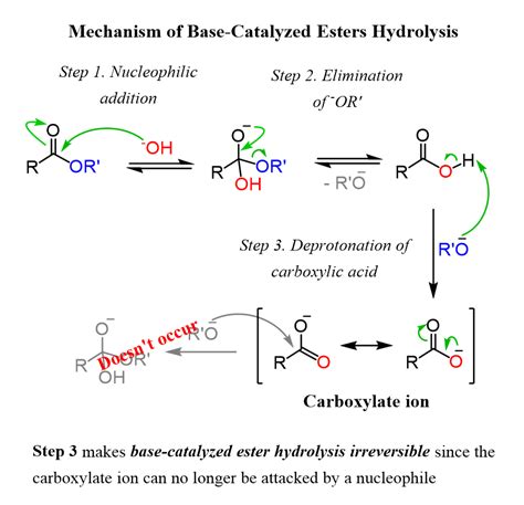 Mechanism Of Base Catalyzed Esters Hydrolysis Chemistry Lessons