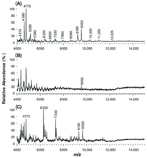 Positive Maldi Tof Ms Spectra Of E Coli Cell Culture 10 4 Cfuml