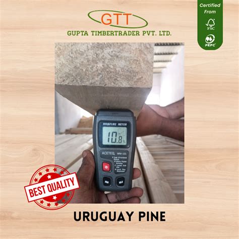 Uruguay Pine Wood At Rs 551 Cubic Feet Pinewood In New Delhi ID