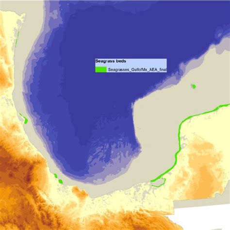 Approximate Geographic Distribution Of Seagrass Beds In Mexico Other Download Scientific