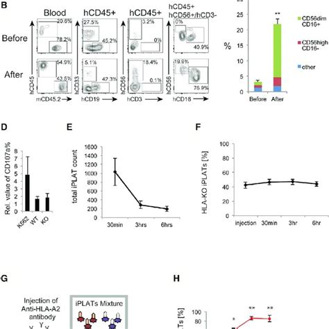 HLA KO IPLATs Successfully Circulated In A Humanized Mouse Model With