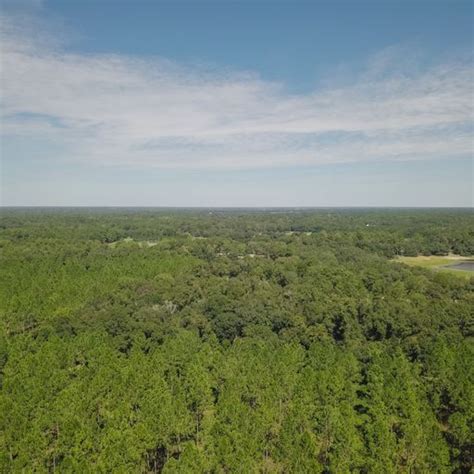 114± Acres Development Potential Lee Co Ga