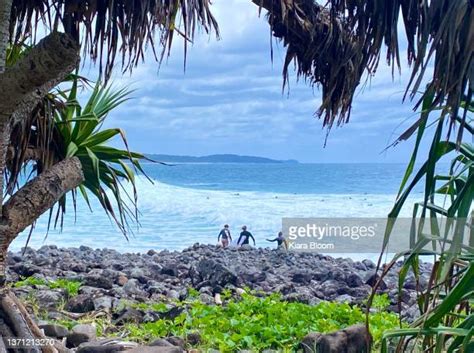 Oceana County Photos and Premium High Res Pictures - Getty Images