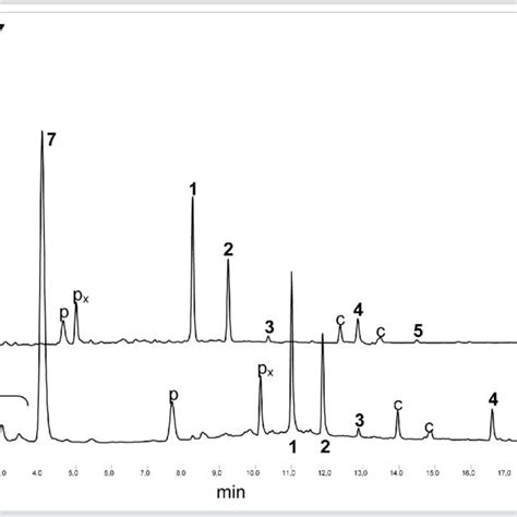 Gc Ms Chromatogram Of Pentane Extractable Compounds From Saffron With Download Scientific