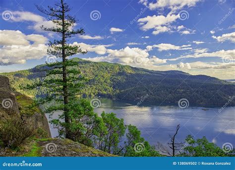 Scenic View Of Maple Bay In Vancouver Island Bc Stock Photo Image Of