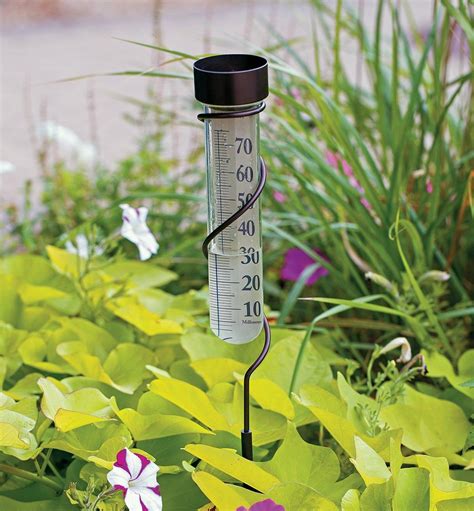 How To Use A Rain Gauge To Monitor Irrigation Needs 50 Off