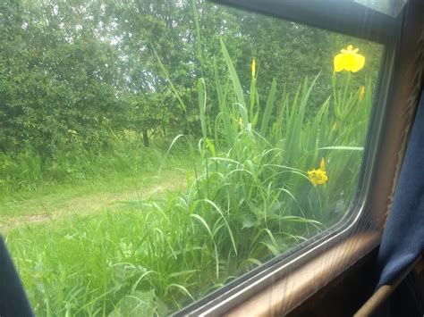 Weedon Bec Dodford Continuous Cruising Narrowboat Grand Union