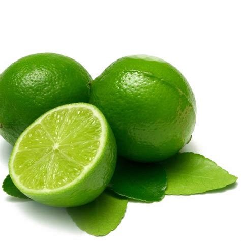 Coconut Lime Verbena Fragrance Oil Candlescience