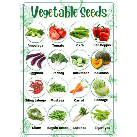 Mixed Seeds SULIT PACK! VEGETABLE SEEDS! (Pechay Tomato Mustasa Talong ...