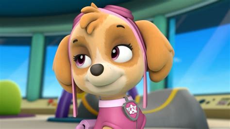 Skye X Chase Pics Skye And Chase Paw Patrol Photo 40040678 Fanpop