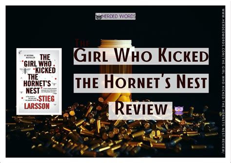 The Girl Who Kicked The Hornets Nest Review And Analysis Hw