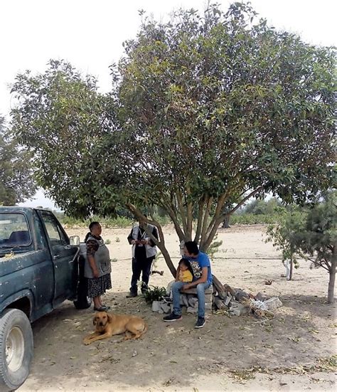 Concluida Primera Etapa De Verificaci N Nacional Muestral En Tlaxcala