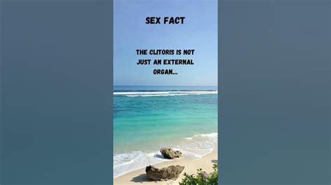 Unlocking The Secrets Fascinating Sex Facts And Myths Exposed Youtube