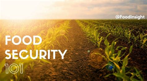 The Basics Of Food Security Food Insight