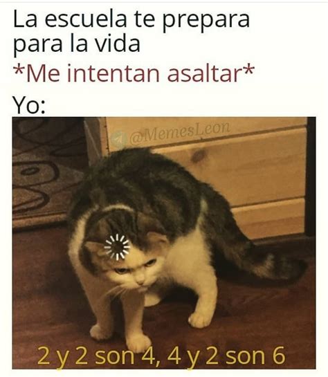 La Escuela Te Prepara Para La Vida Me Intentan Asaltar Yo 2 Y 2 Son