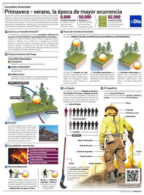 Infografía Las Claves Para Entender Un Incendio Forestal Diario El Día40895