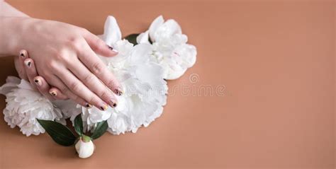 Vue De Plan Rapproch De Femme Avec De Belles Mains Sur Le Fond De