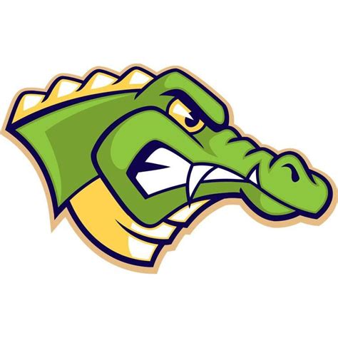 Team Spirit 34 Gator Logo Sports Logo Logo Design