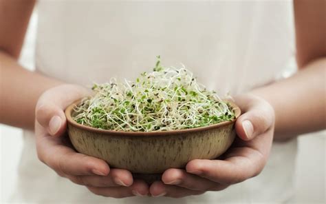 Get 8 Different Types Of Sprouts From The Sprout Shop In Bangalore