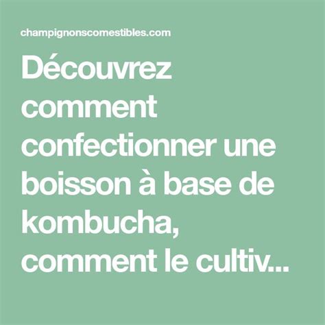 D Couvrez Comment Confectionner Une Boisson Base De Kombucha Comment