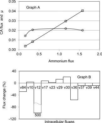 In Silico Analysis Of The Effect Of Decreased Ammonia Flux Mmol G1