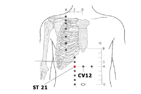 ST 21 Acupuncture Point Liangmen Or Stomach 21 PeakMassager