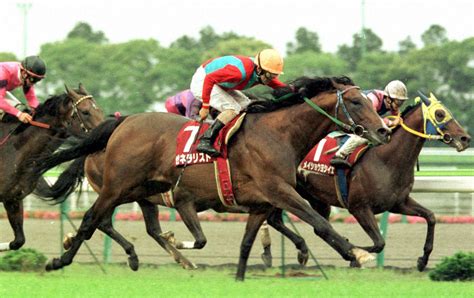 【毎日ベスト3】金鯱賞のびっくり配当ベスト3 毎日ベスト3 競馬コラム写真ニュース 日刊スポーツ