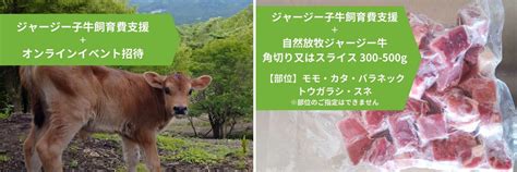 生まれてすぐ殺処分されるいのち。オスのジャージー牛飼育のためクラファン開始｜自然放牧の宝牧舎（大分県別府市） 株式会社ボーダレス・ジャパン