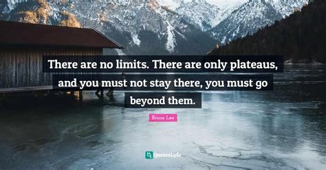 There Are No Limits There Are Only Plateaus And You Must Not Stay Th