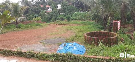 Urgent Sale Cent House Plot For Sale Near Therthally Alakode