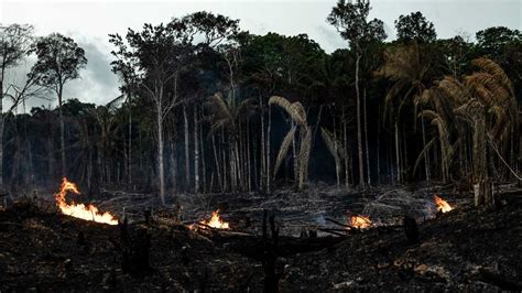 Incendios En La Amazonía Brasileña Alcanzaron Su Punto Más Alto En Una