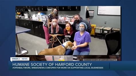 Importance Of Spayingneutering From Humane Society Of Harford County