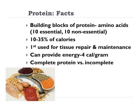 PPT - Navigating Nutrition PowerPoint Presentation, free download - ID ...