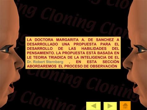 Desarrollo De Habilidades Del Pensamiento Ppt Descarga Gratuita