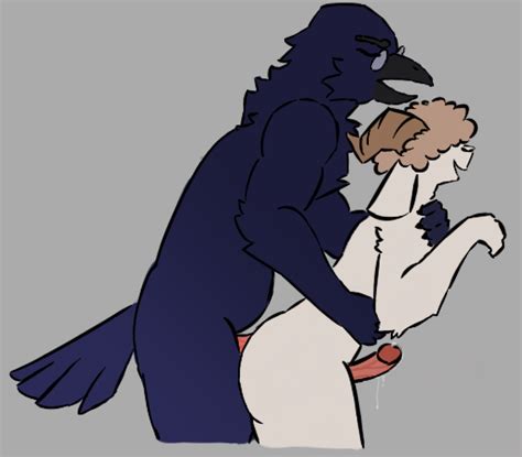 Rule 34 Anal Anal Sex Anthro Avian Azariah Noviphix Bird Bodily Fluids Bovid Caprine Corvid