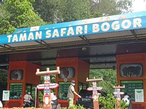 Ada Taman Safari Ini Rekomendasi Tempat Wisata Yang Ada Di Bogor Yang