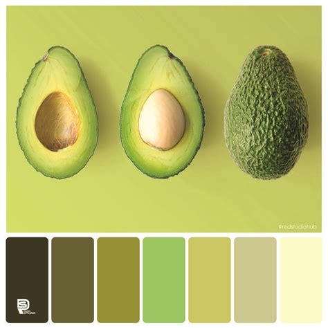 Color Palette 01 Avocado